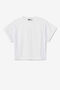 AMYTIS MESH PANEL CROP TEE/WHITE/Extra Small