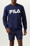 SPORTSTYLE LINEAR LOGO L/S CREW