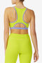 DOWNLOAD BRA TOP