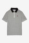 IVY LEAGUE T1 POLO