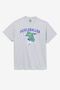PICKLEBALLER TEE/GREYHTHR/Extra Small