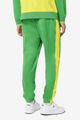 BRAZIL TRACK PANT/FGRN/CYLO/Extra large